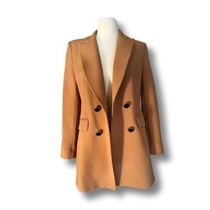 ZARA Brown Coat